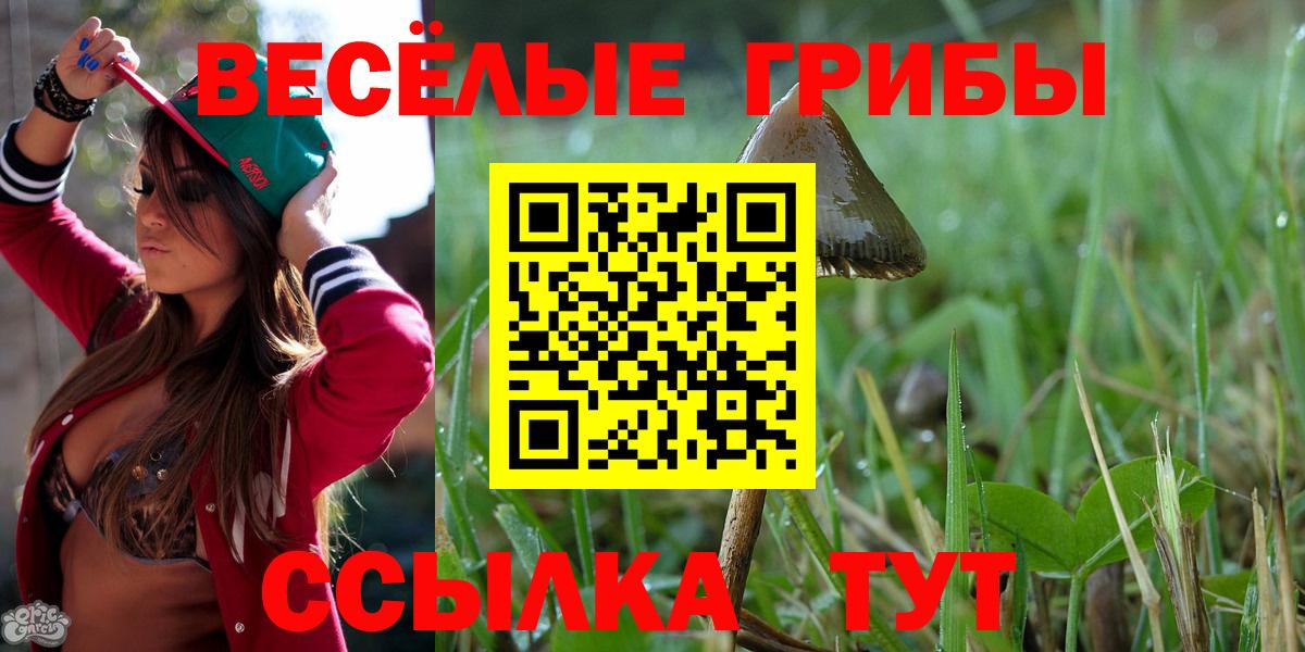 Псилоцибиновые грибы прущие грибы  Галлюциногенные грибы мухоморы  Вход с VPN  Орёл 